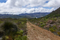 4venture, 4x4, adventure, Abenteuer, off road, track, Overberg, Hottentots Holland Mountains, Elgin, Garbouw, Landschaft
