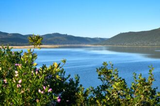 Groenvlei Garden Route, Lakes District, Groenvlei