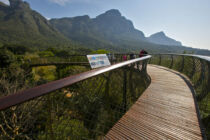 Die Boomslang in Kirstenbosch Boomslang, Canopy Tours, Kirstenbosch, Kapstadt