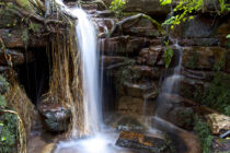 Wasserfall in 'The Dell' Kirstenbosch, Kapstadt, Quelle, The Dell