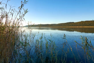 Langvlei Garden Route, Langvlei