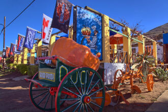 Country Pumpkin in Barrydale route 62 barry dale, country pumpkin